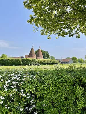 A picturesque countryside scene featuring two traditional Kentish oast houses surrounded by lush greenery and blooming flowers.