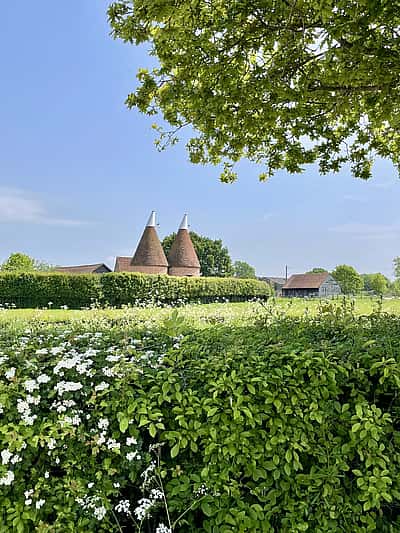 A picturesque countryside scene featuring two traditional Kentish oast houses surrounded by lush greenery and blooming flowers.