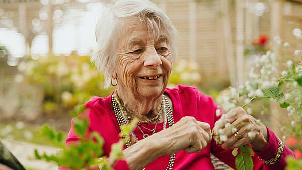 An elderly woman smiling and working with plants in a garden, with a cup of tea nearby
