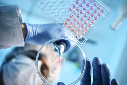 Scientist dropping product into a petri dish