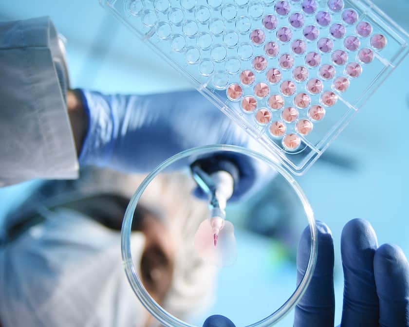 Scientist dropping product into a petri dish
