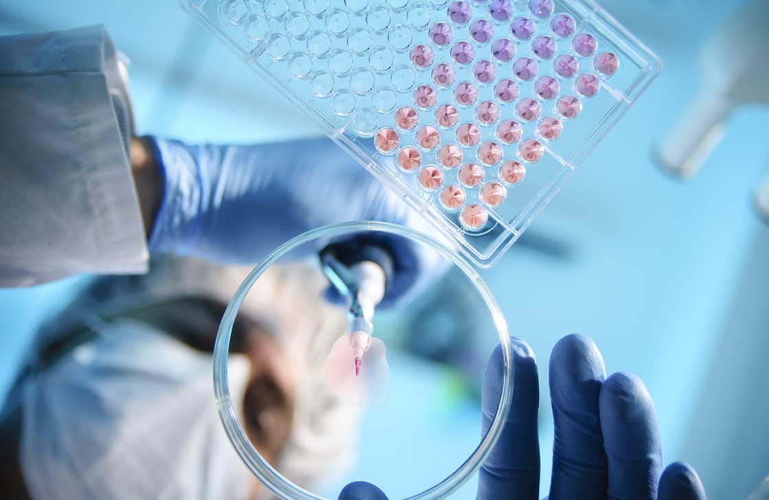 Scientist dropping product into a petri dish