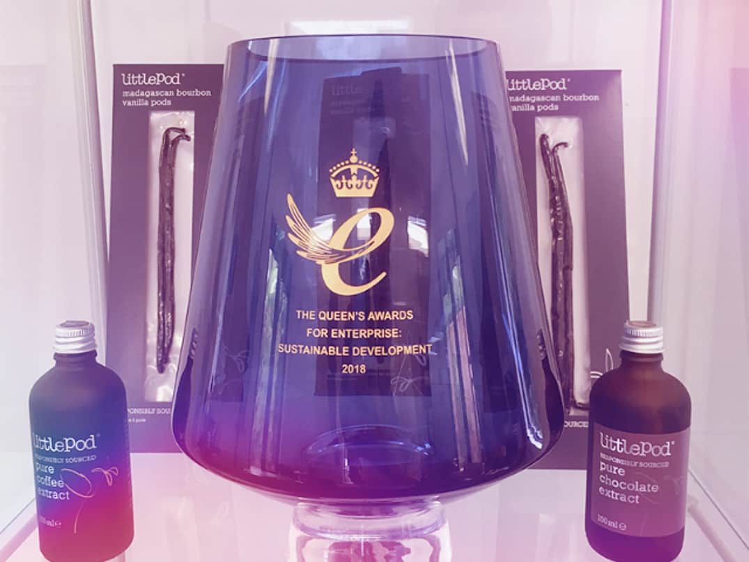 a Queens Award glass vase / trophy with two LittlePod containers sitting either side of it