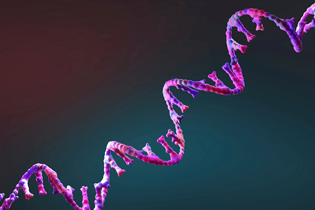 DNA image