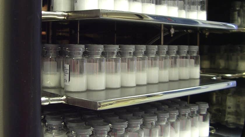 Vials filled with lyophilised powder, stacked on freeze dryer shelves.