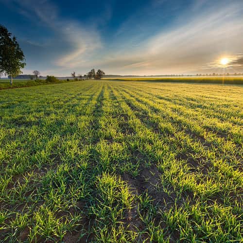 Sustainable supply chains