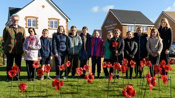 Media 2021 poppyfields poppies
