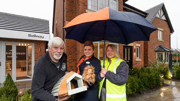 Media 2072 weaver green