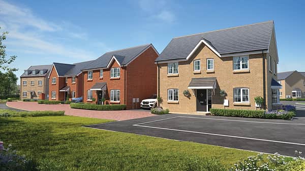 Media 2094 chestnut grove