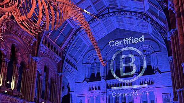 B Corp