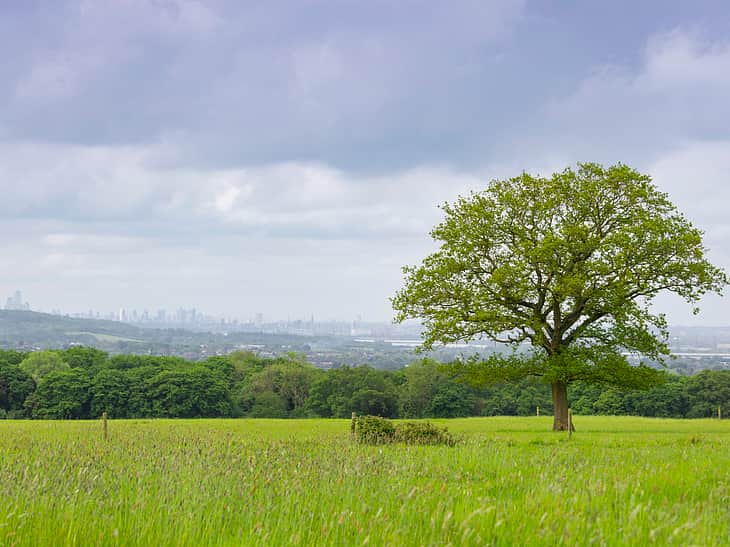 Media bmhjxrhl harolds park wildland with city of london skyline small
