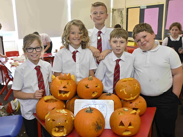 Media kgfbznho skelton primary pumpkins