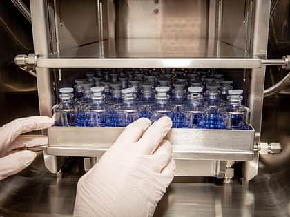 Gloved hands putting a tray of vials into a freeze dryer.