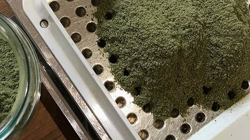 a close up of a green power in a metal tray with holes in it