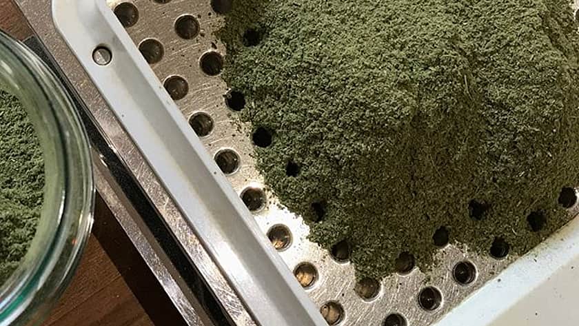 a close up of a green power in a metal tray with holes in it