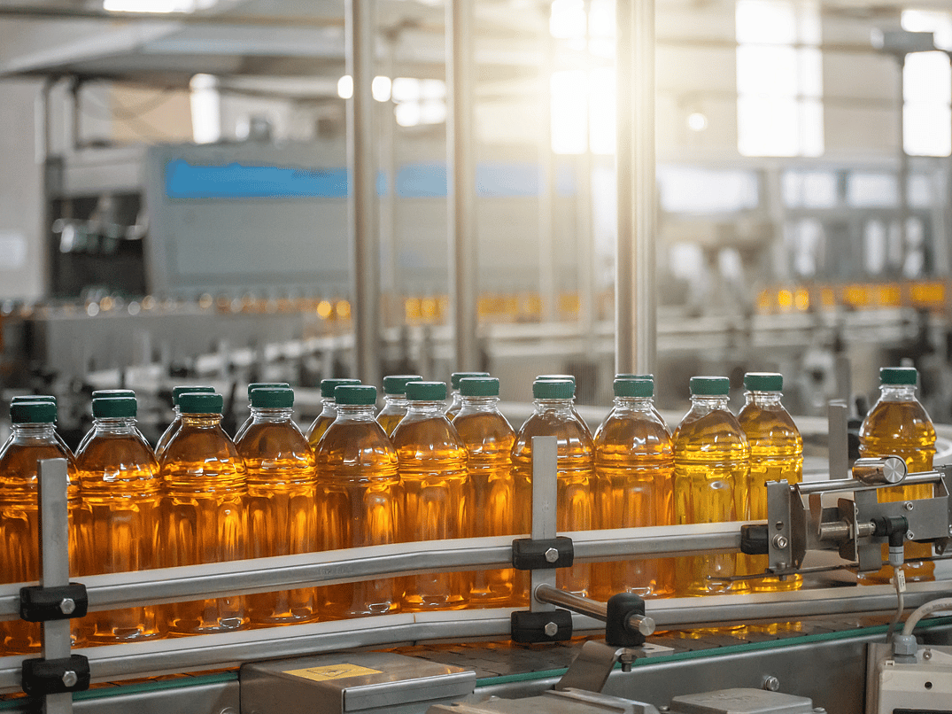 Many filled and capped bottles going down a conveyor belt line. The bottles are see through and have apple juice coloured liquid in them. The bottles also have green caps. In the background the early morning sun is shining through.