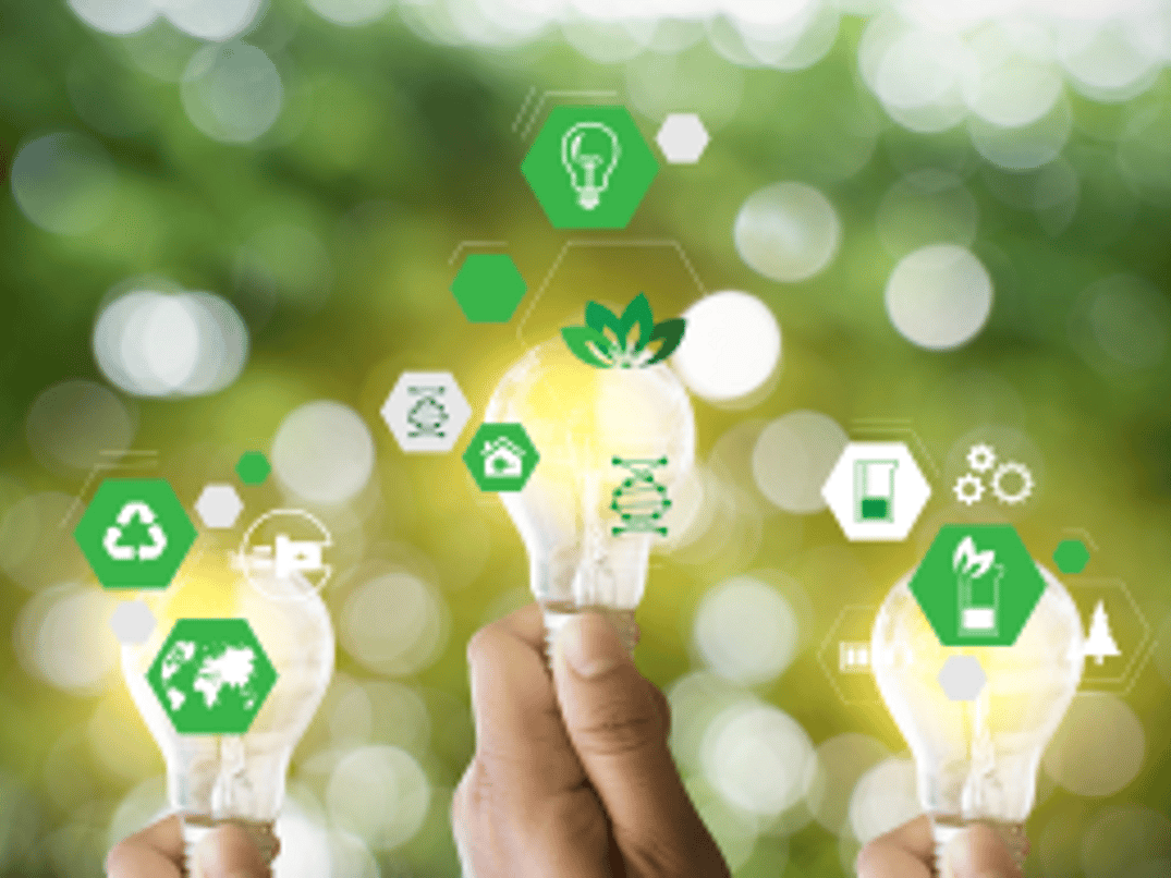 From Cost to Conscience 2