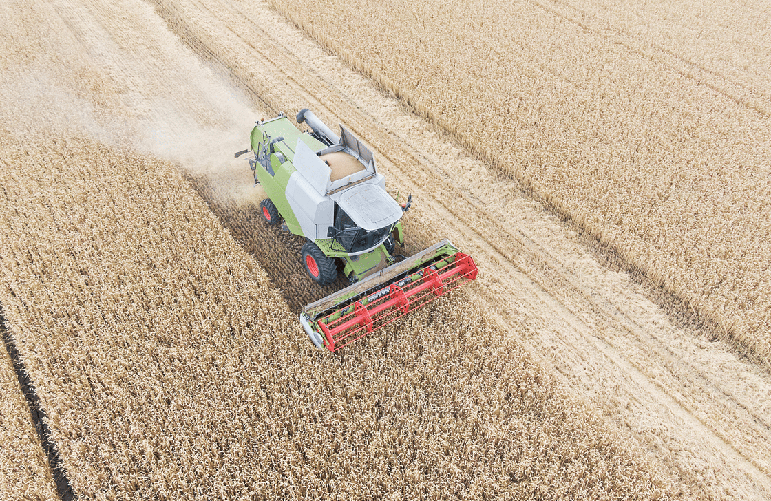 A green combine harvester ploughing fields, ploughing wheat fields from a birds eye view.