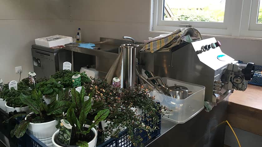 a Response Benchtop Filler with a selection of plants in a create sitting beside it, on a table top