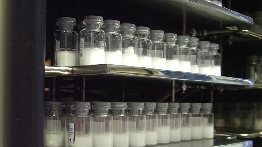 Vials filled with lyophilised powder, stacked on freeze dryer shelves.