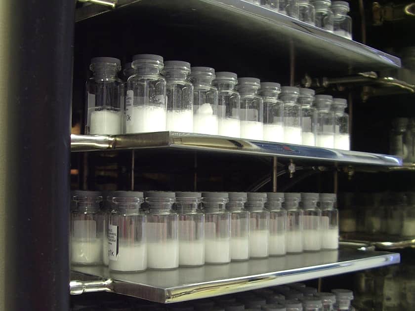 Vials filled with lyophilised powder, stacked on freeze dryer shelves.